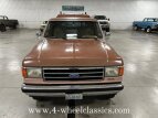 Thumbnail Photo 9 for 1989 Ford F250